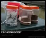 crossingpoint picture